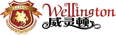 威靈頓Wellington