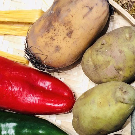 深圳標(biāo)志設(shè)計作品案例展示